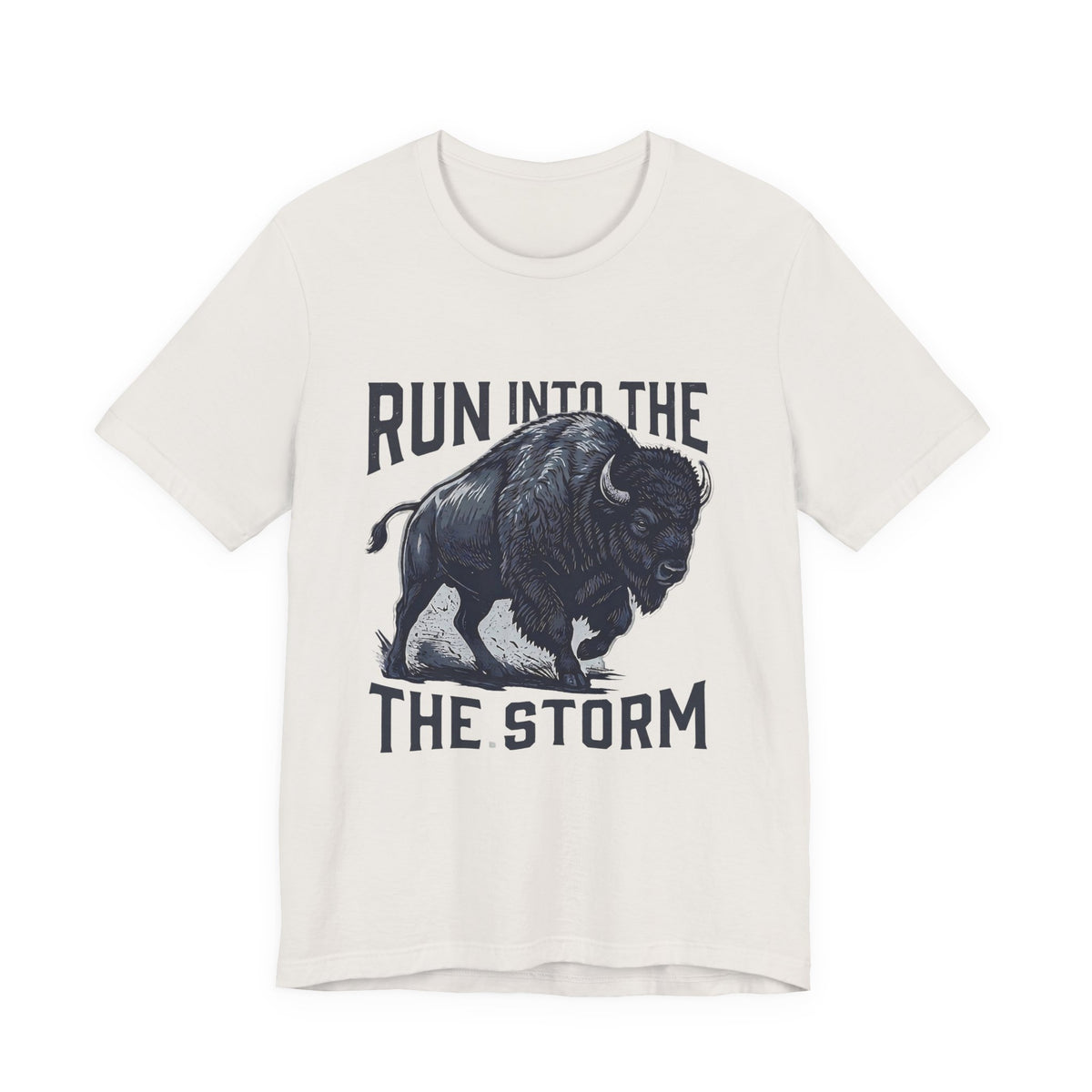Run Into The Storm Buffalo Tee — Motivational Graphic T‑Shirt