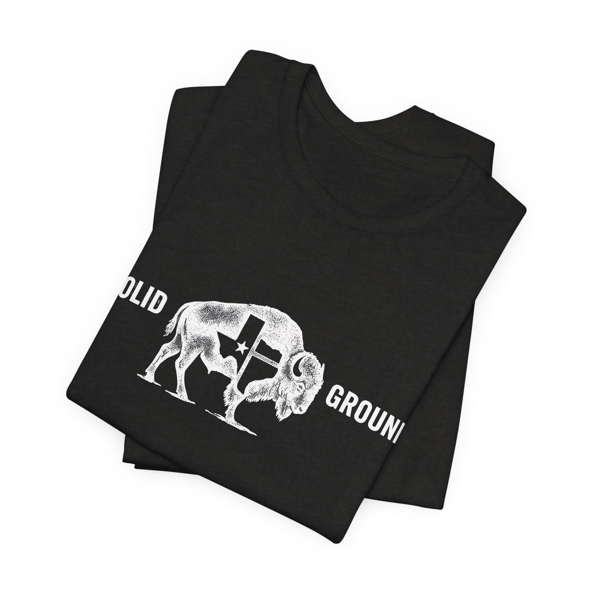 Solid Ground — Minimalist Vintage Bison Tee