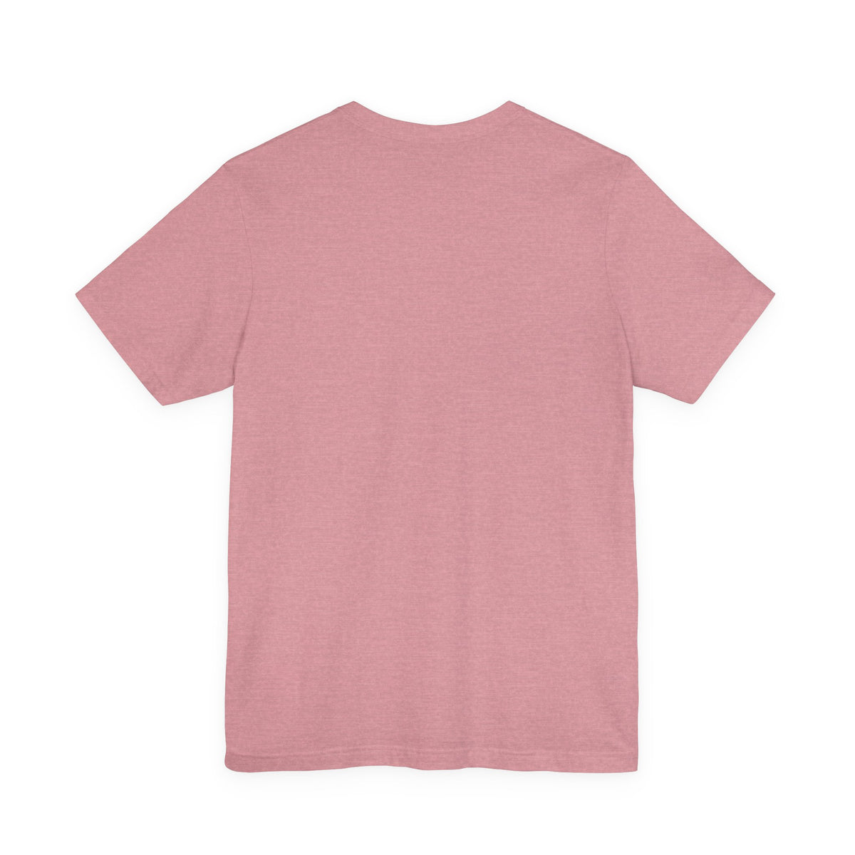 Solid Ground — Minimalist Vintage Bison Tee