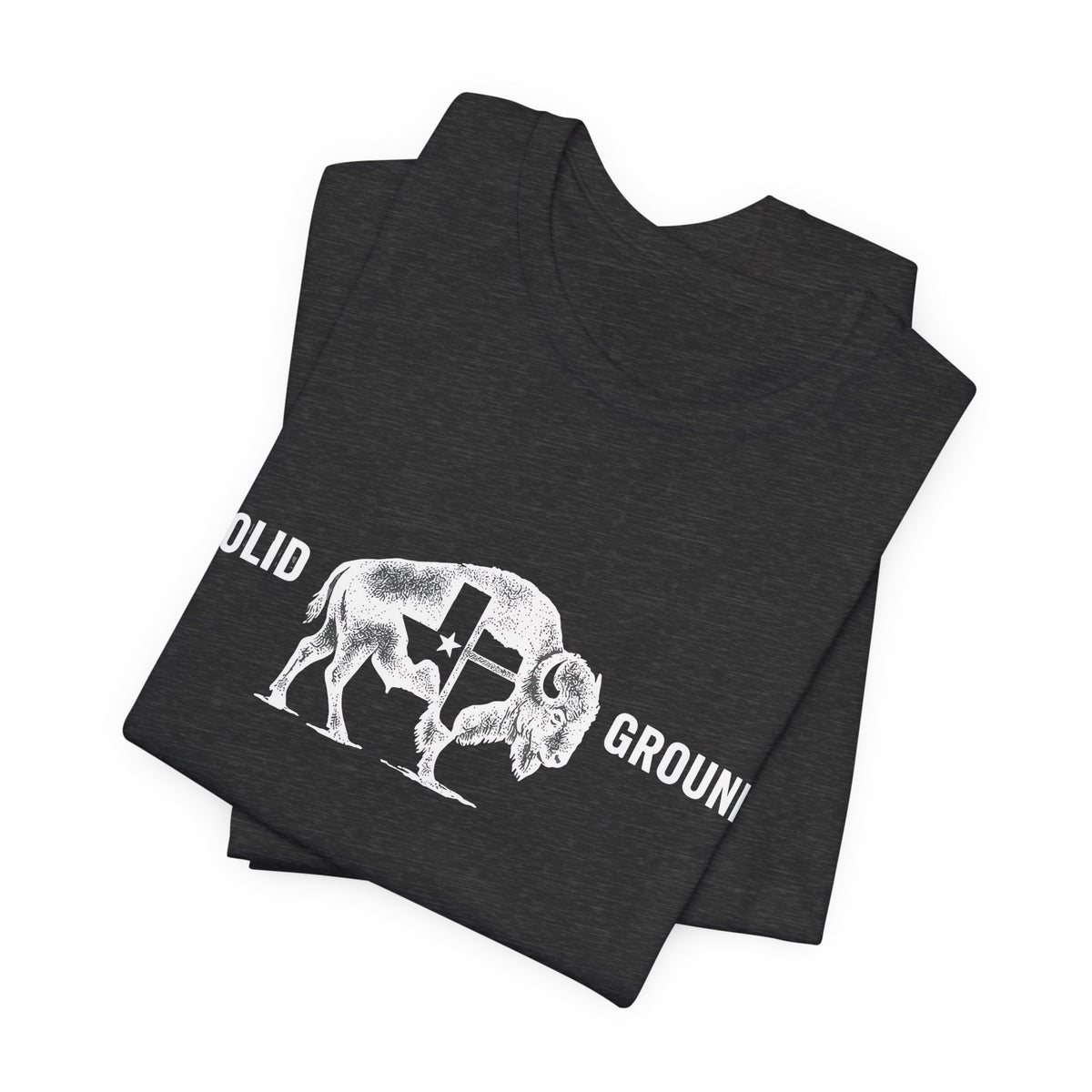Solid Ground — Minimalist Vintage Bison Tee