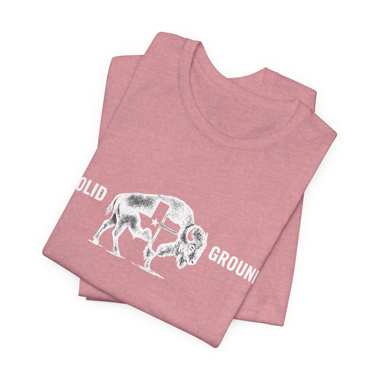 Solid Ground — Minimalist Vintage Bison Tee