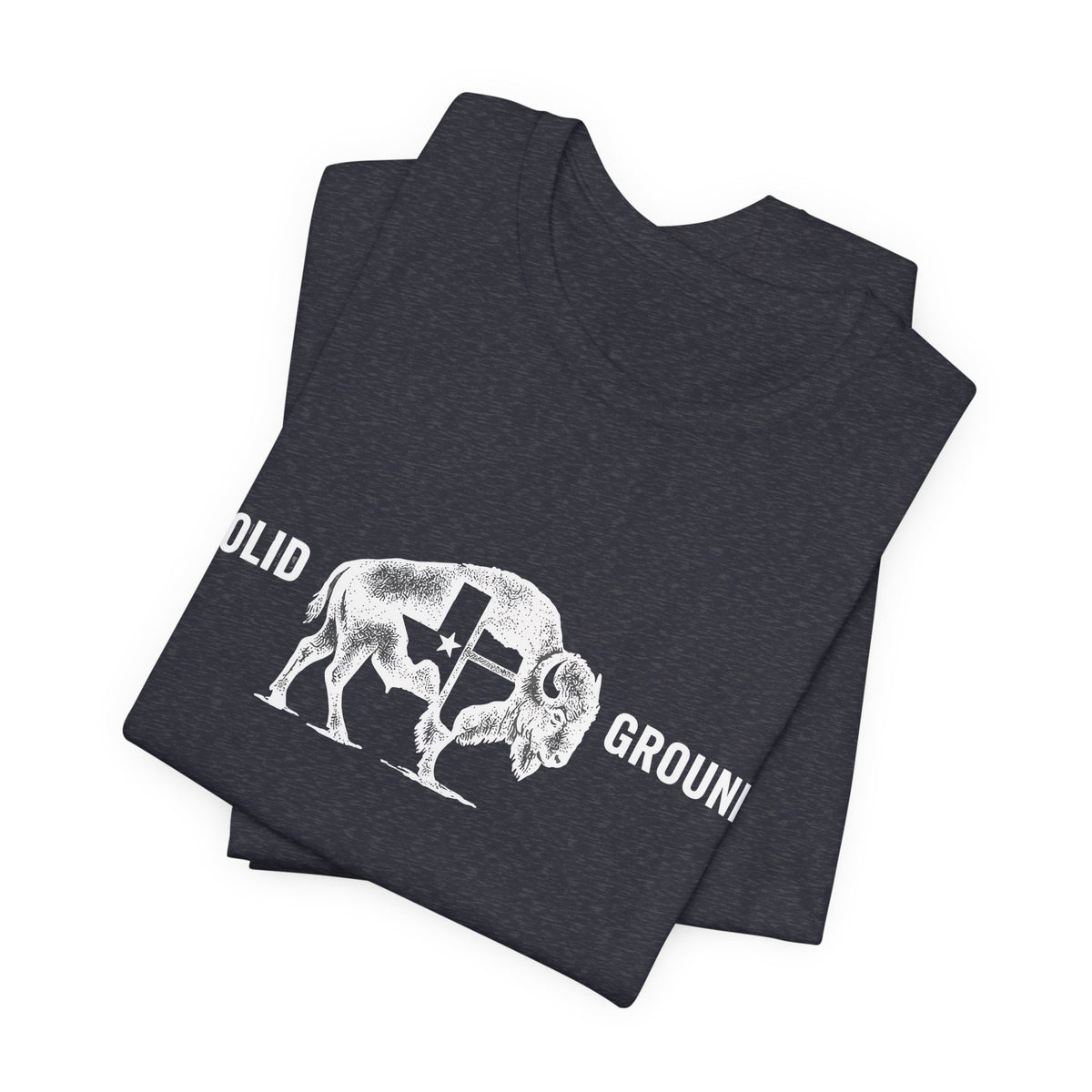 Solid Ground — Minimalist Vintage Bison Tee