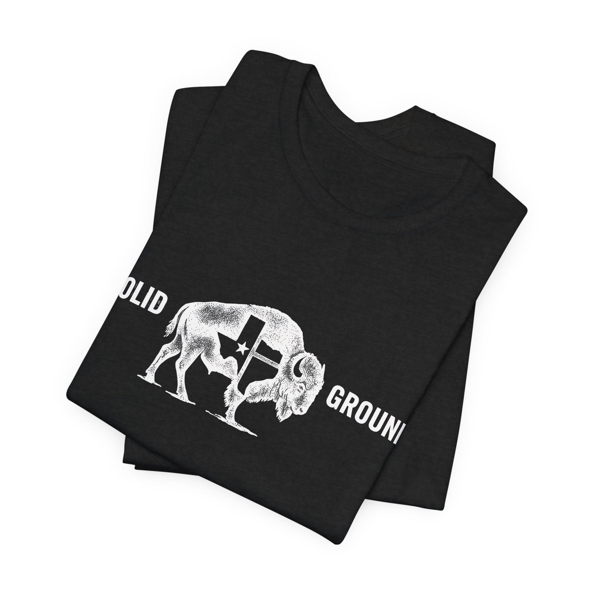 Solid Ground — Minimalist Vintage Bison Tee