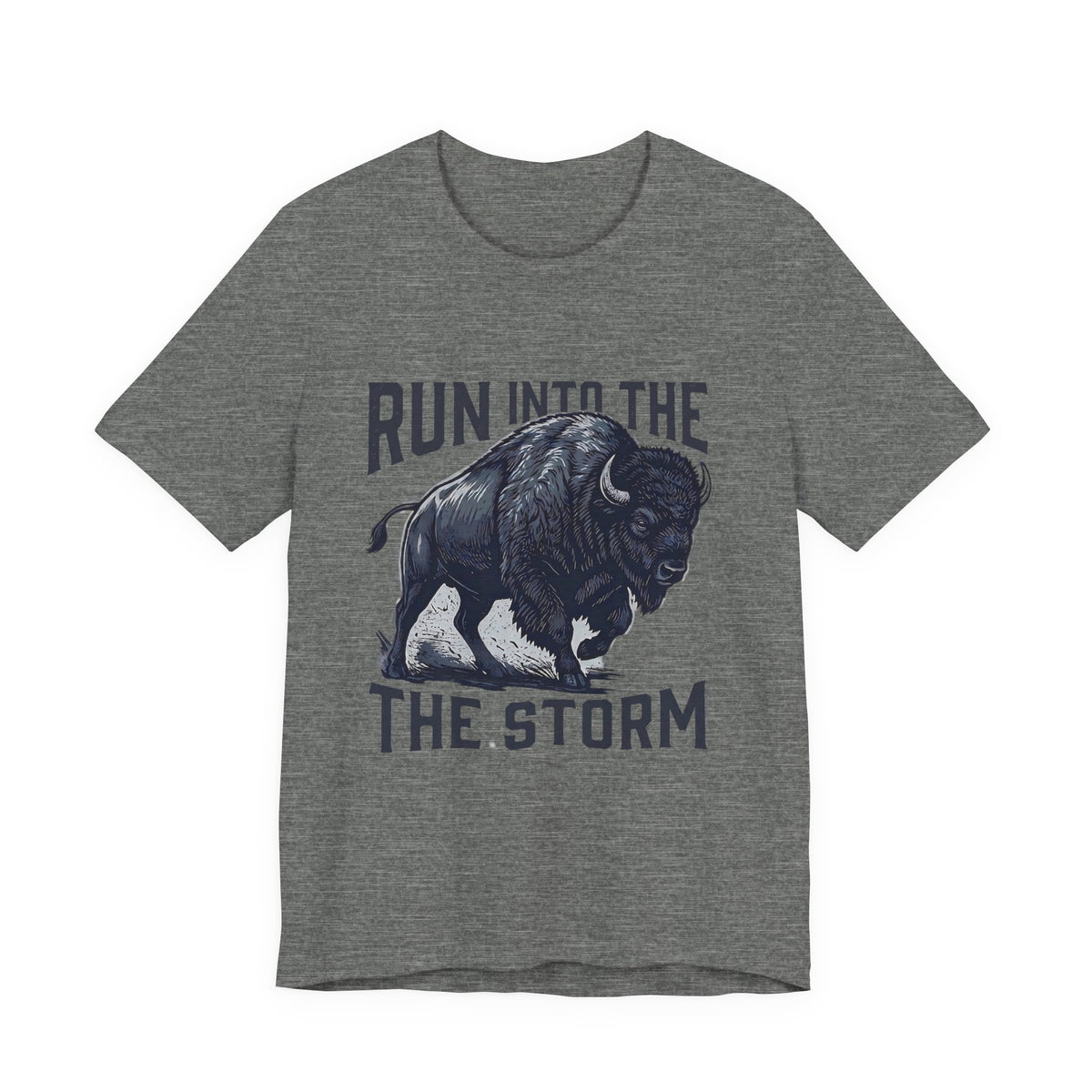 Run Into The Storm Buffalo Tee — Motivational Graphic T‑Shirt
