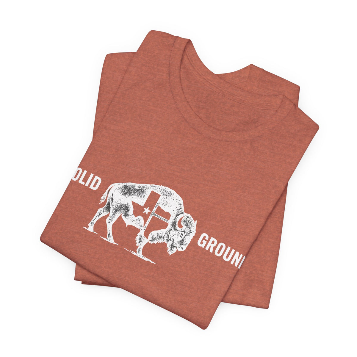 Solid Ground — Minimalist Vintage Bison Tee